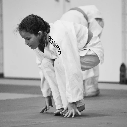 Een afbeelding van een judoka in actie ter decoratie
