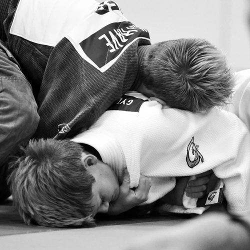 Een afbeelding van een judoka in actie ter decoratie